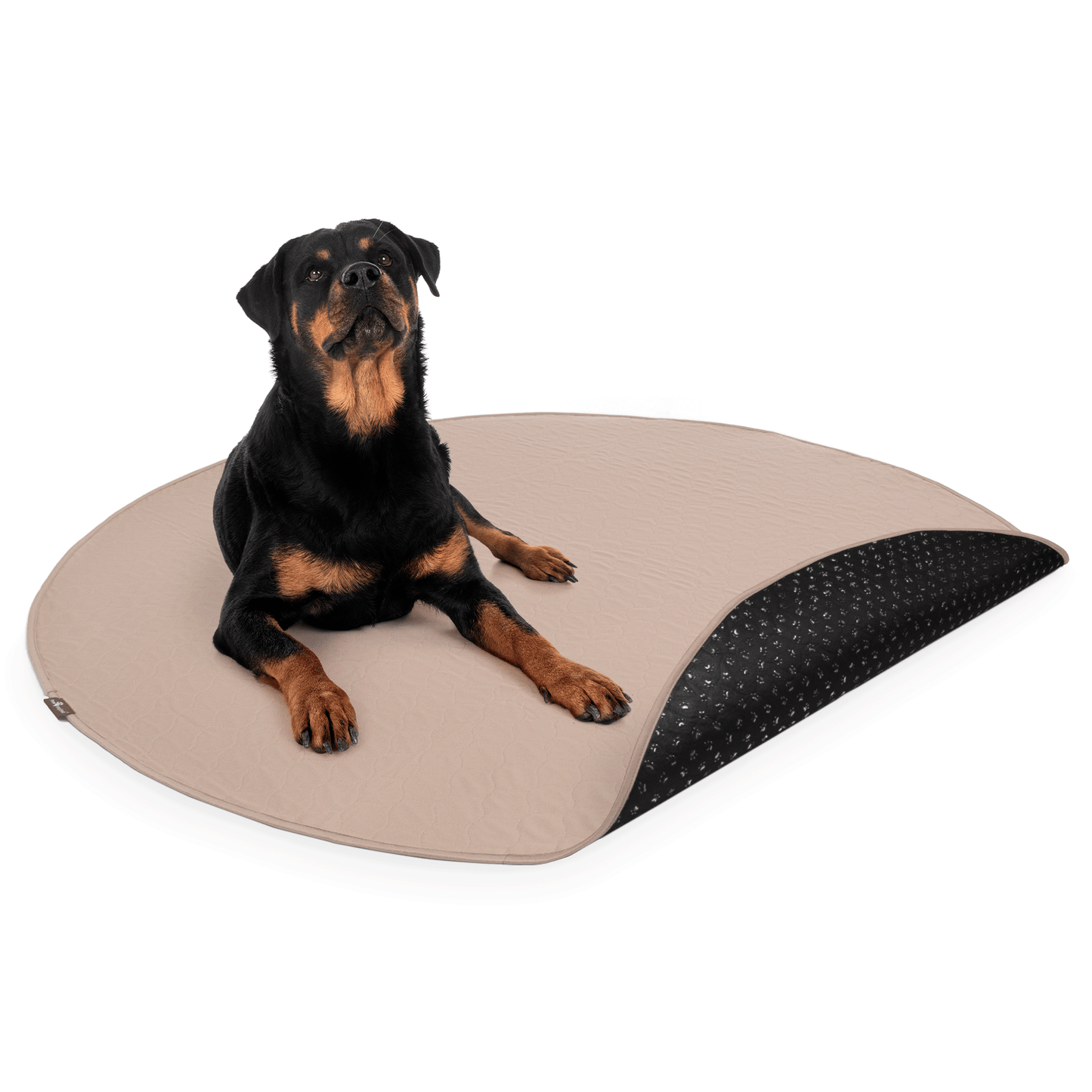 Paw Inspired Round Washable Pee Pads for Dogs