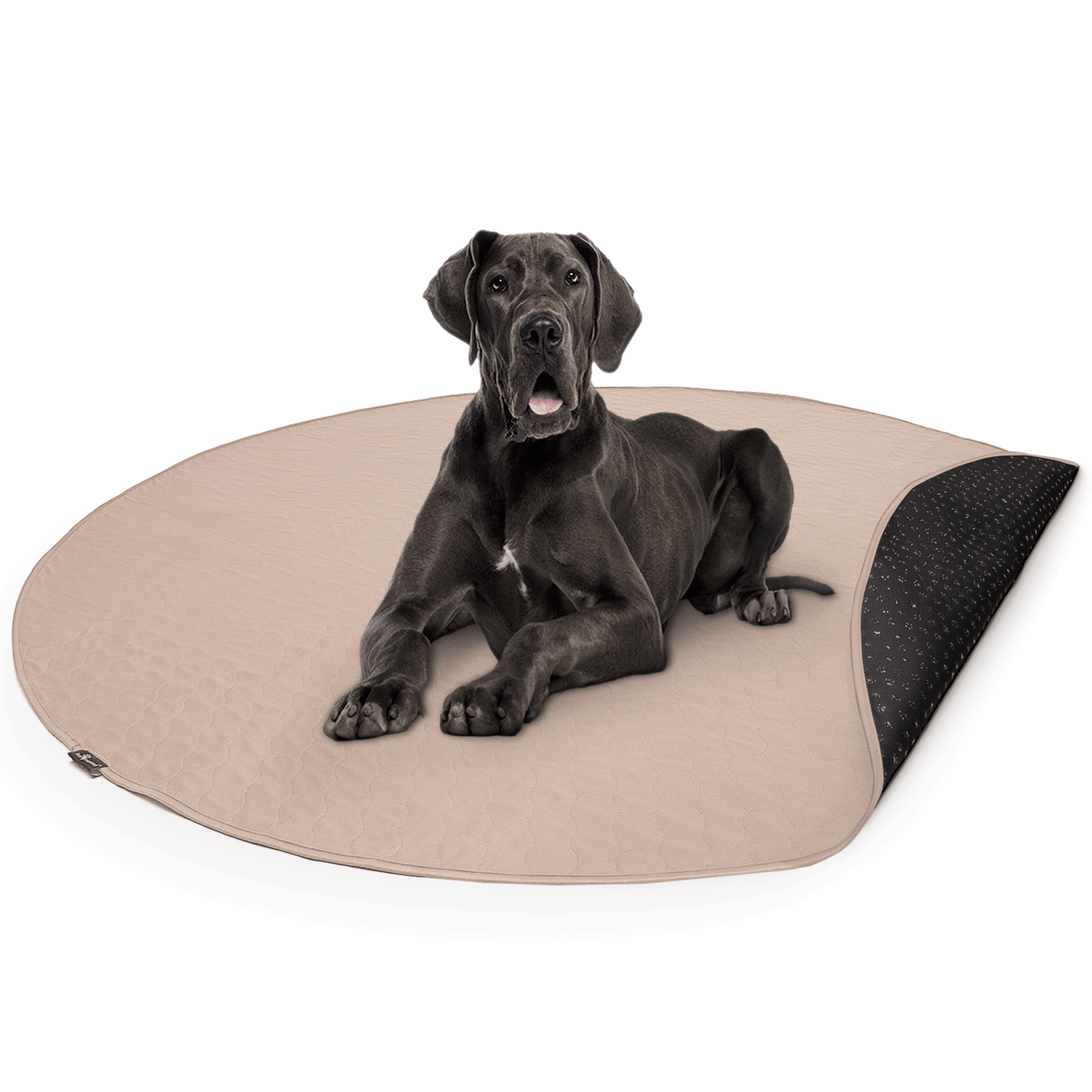 Paw Inspired Round Washable Pee Pads for Dogs