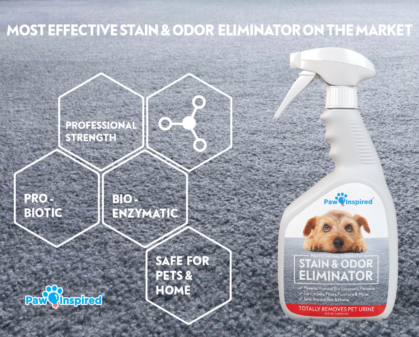 Paw Inspired Professional Strength Stain & Odor Eliminator Enzyme Cleaner