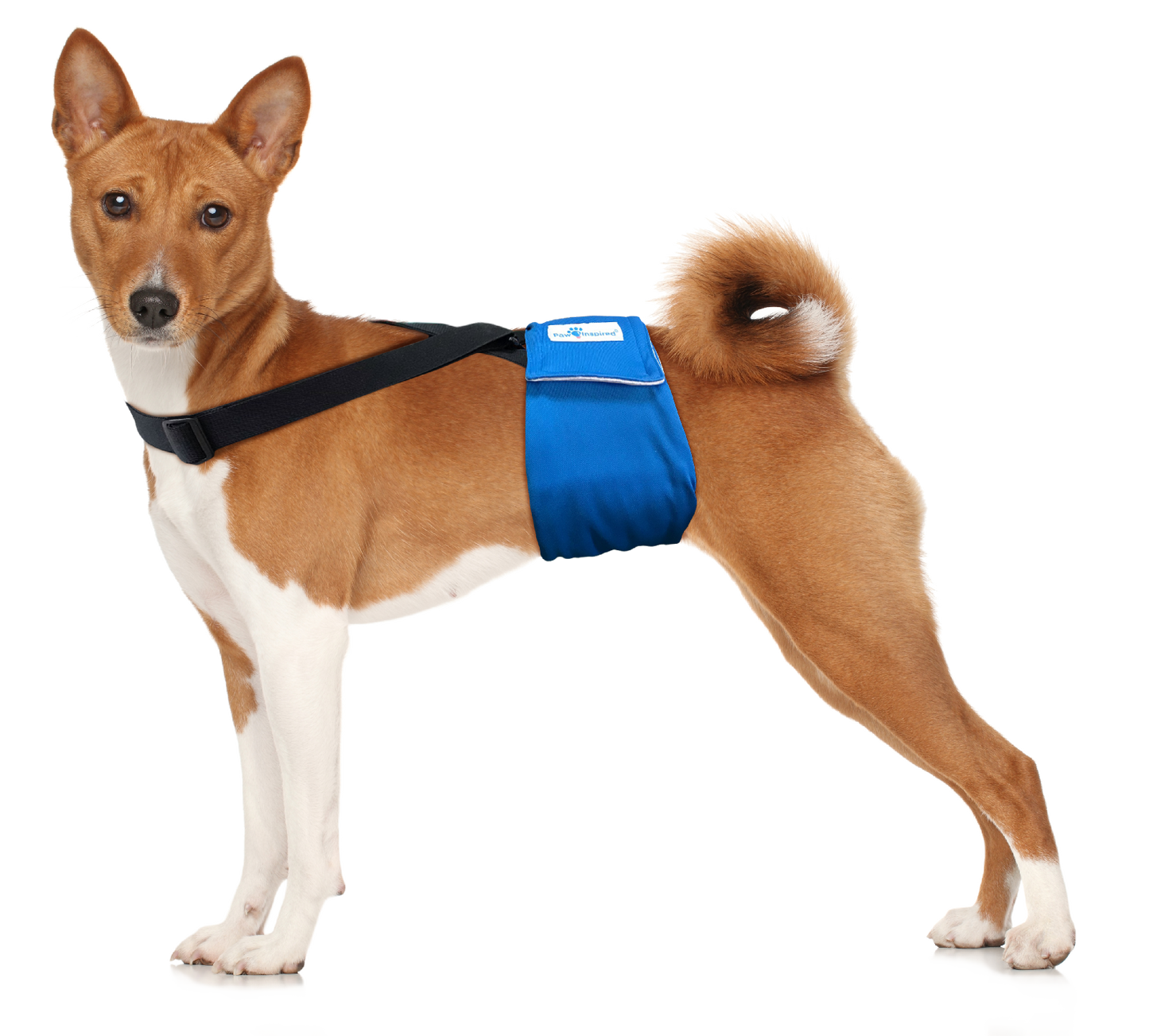 Paw Inspired Washable and Disposable Dog Diaper Suspenders
