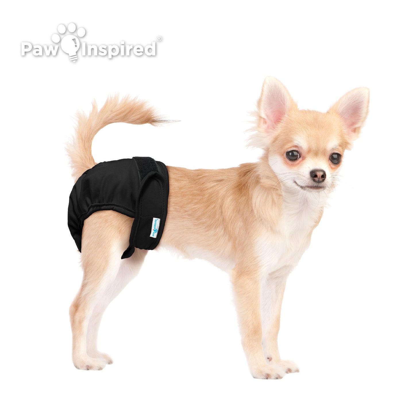 3ct Paw Inspired Ultra Protection Washable Dog Diapers, Reusable, Female, Black (Black Lining), Extra Small