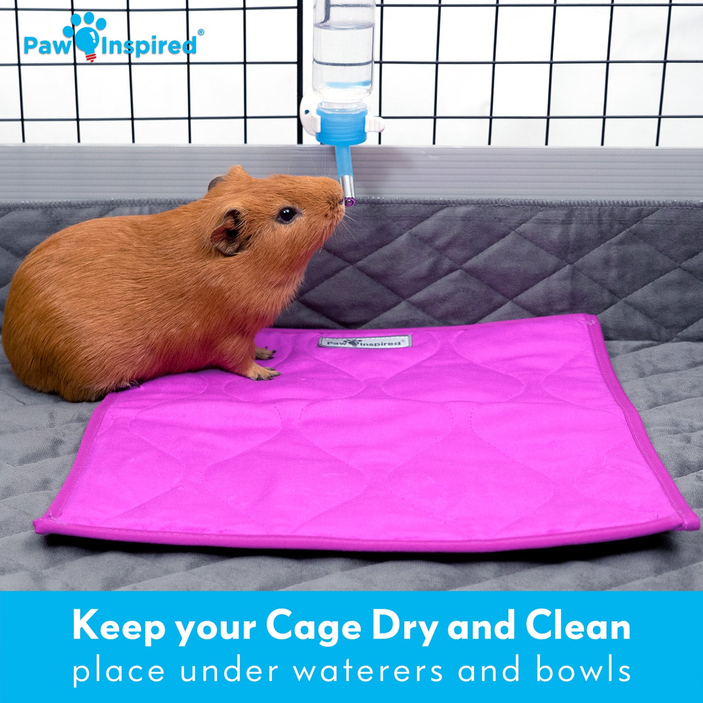 3ct Paw Inspired Washable 12”x12” Guinea Pig Liner Pads