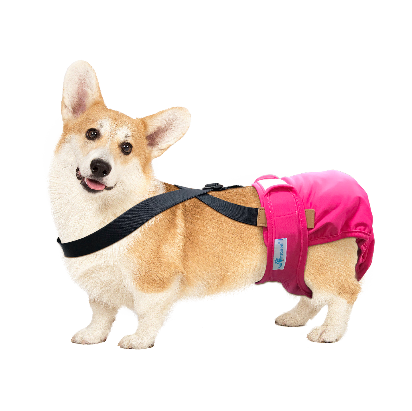 Paw Inspired Washable and Disposable Dog Diaper Suspenders