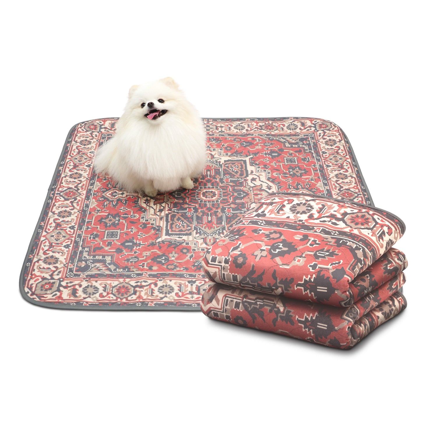 Paw Inspired Designer Dog Pads