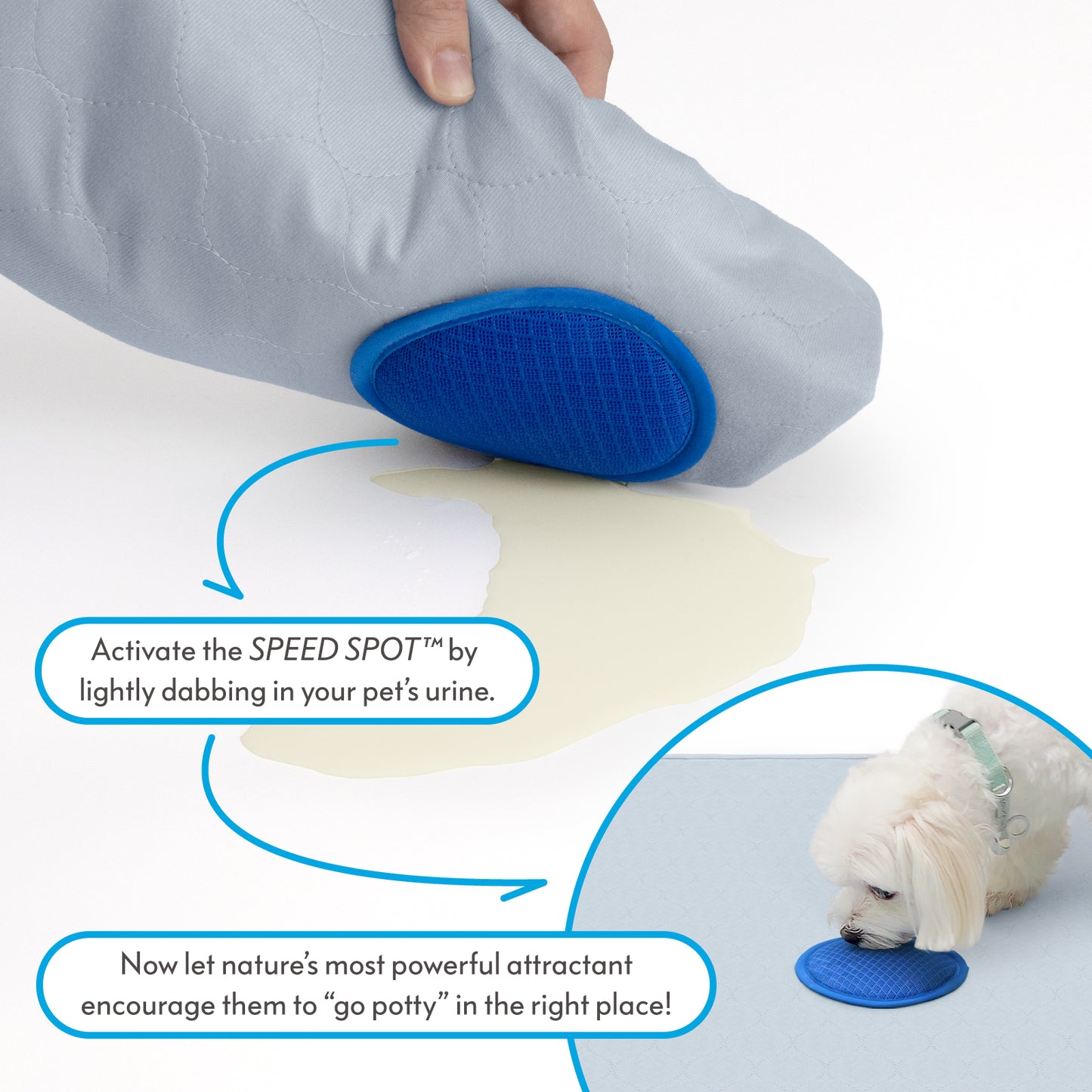 Paw Inspired Speed Spot™ Training Pads