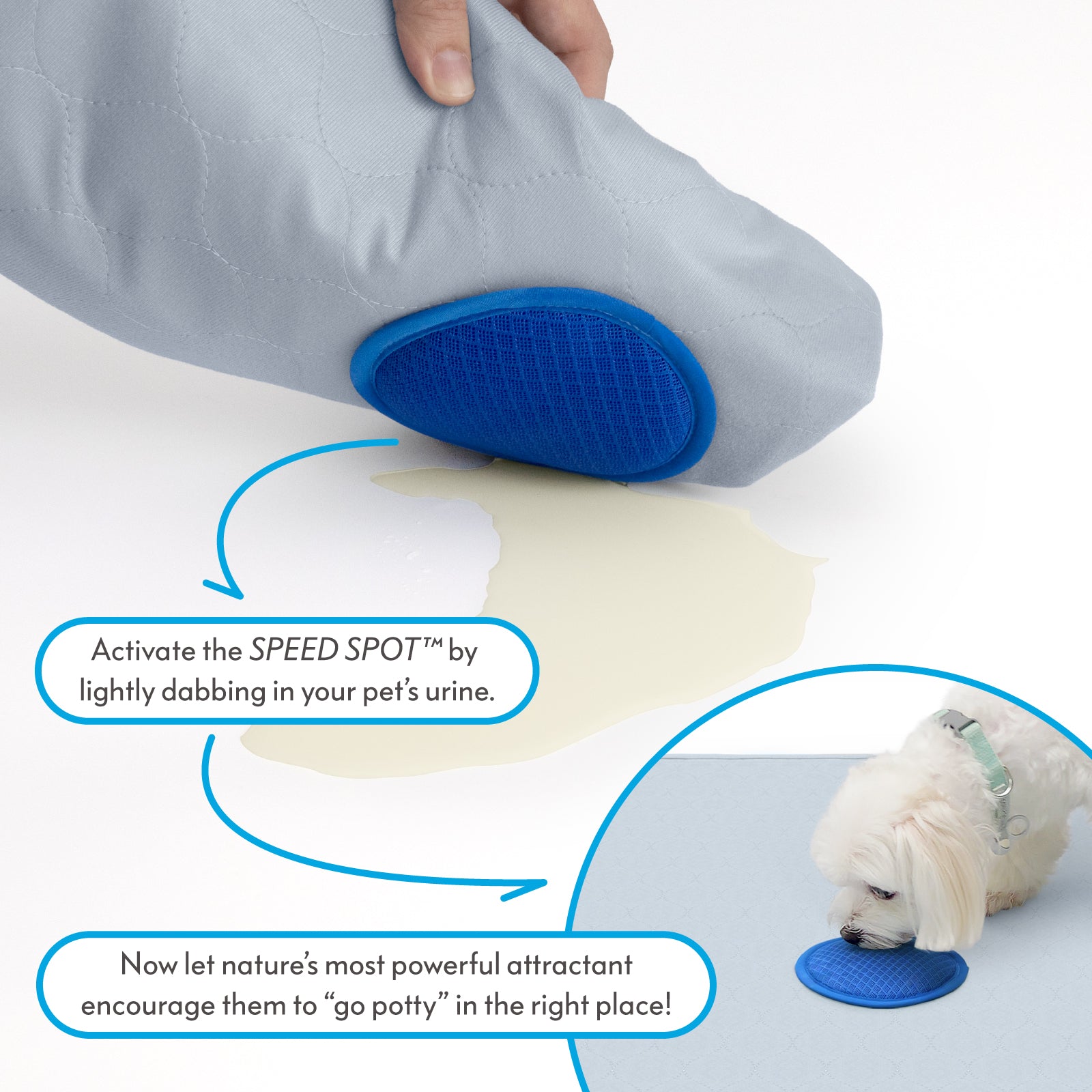 Paw Inspired Speed Spot™ Training Pads