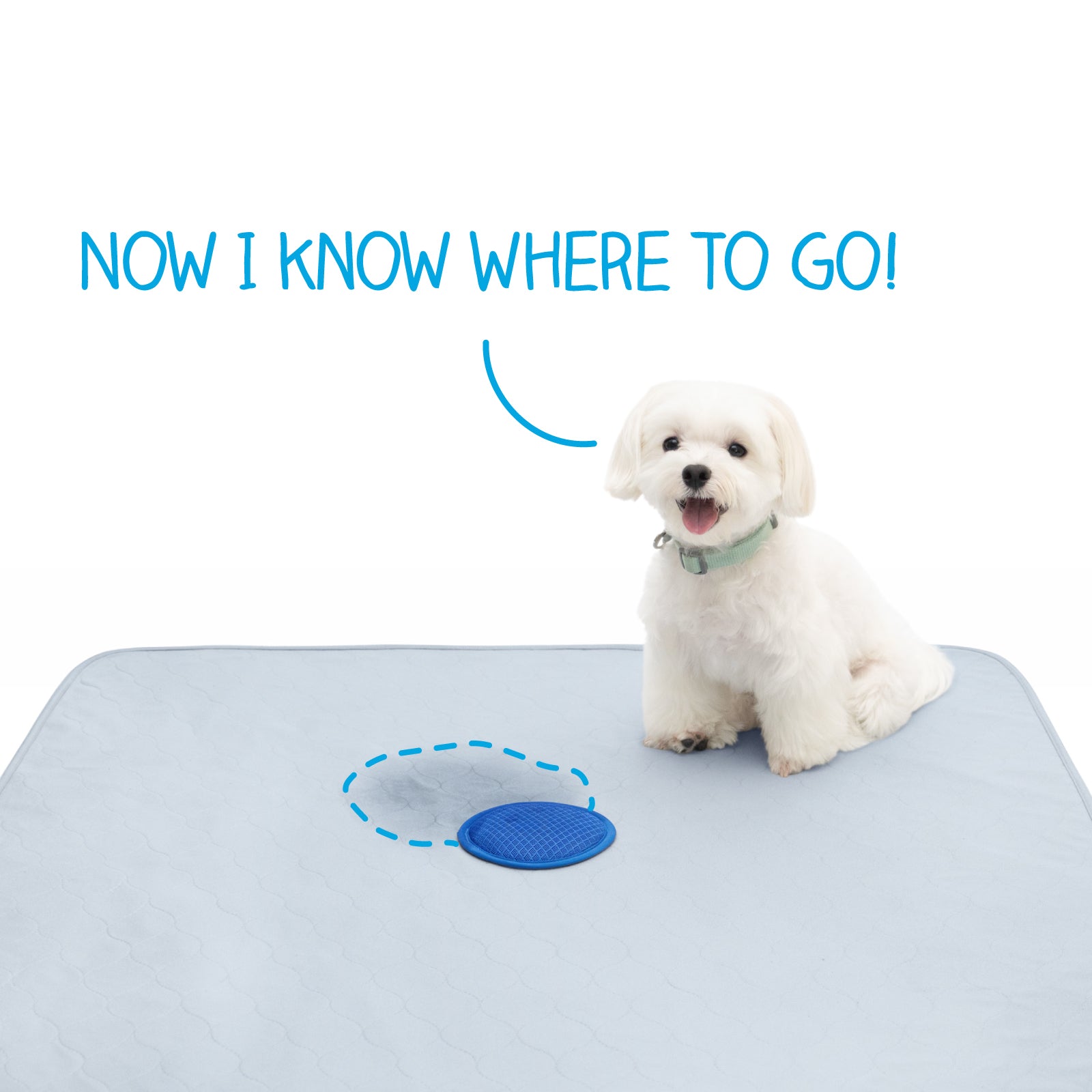 Paw Inspired Speed Spot™ Training Pads