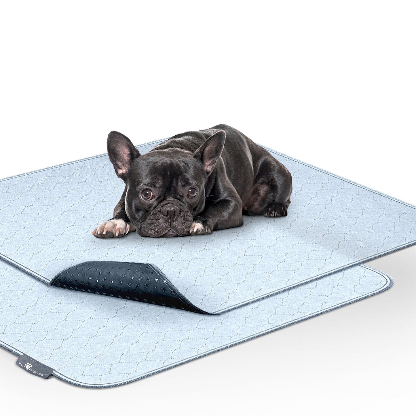 Paw Inspired Washable Pee Pads for Dogs