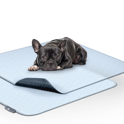 Paw Inspired Washable Pee Pads for Dogs