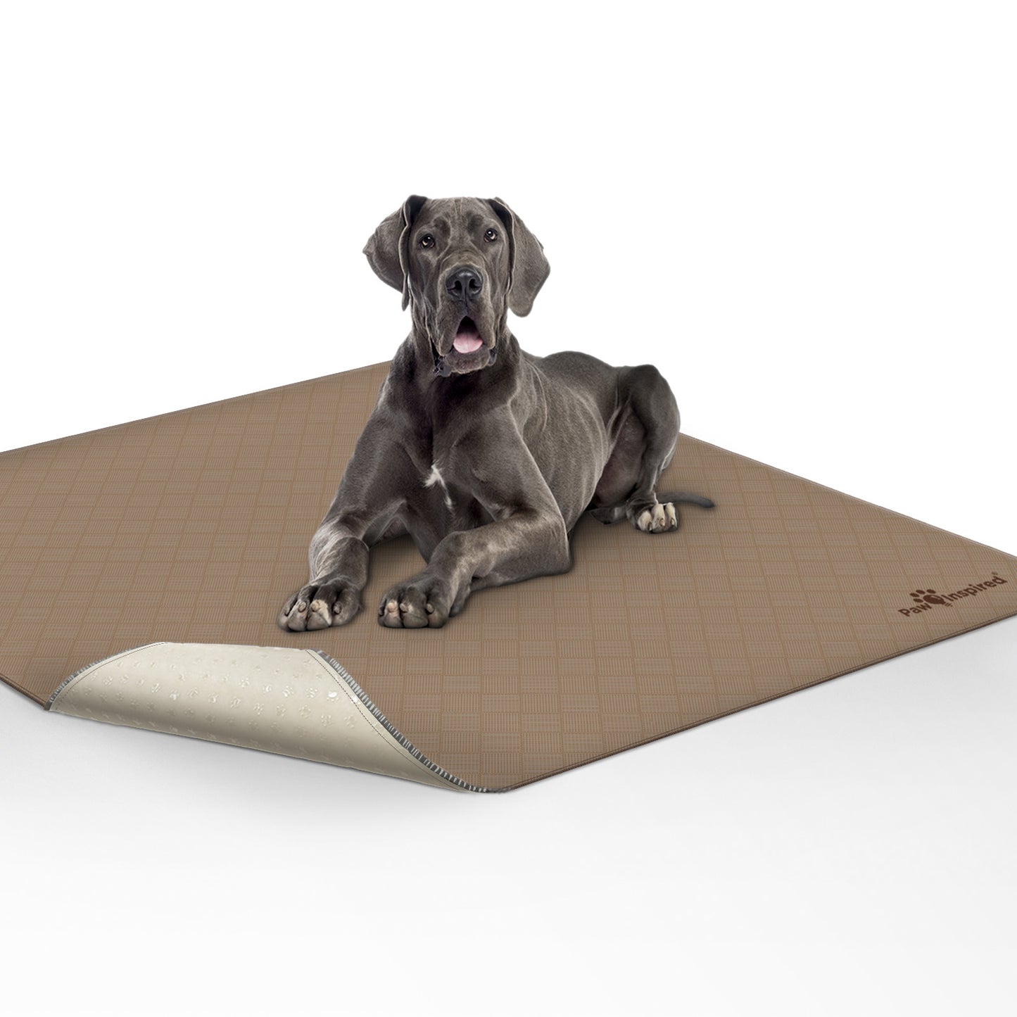 Paw Inspired Washable Pee Pads for Dogs