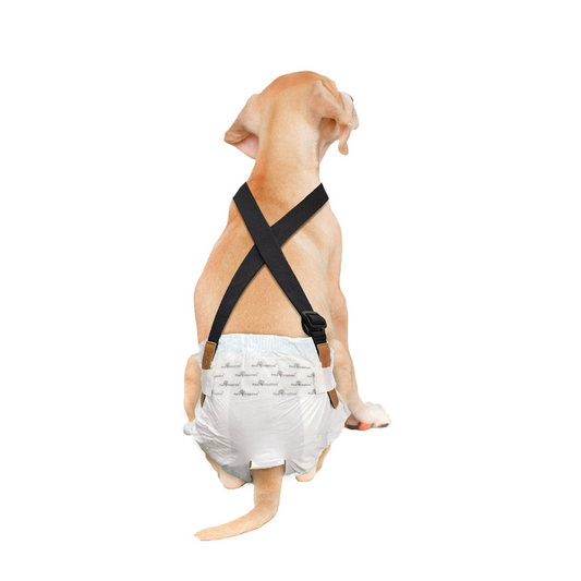 Paw Inspired Washable and Disposable Dog Diaper Suspenders