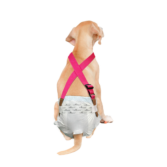 Paw Inspired Washable and Disposable Dog Diaper Suspenders, Pink