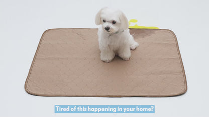 Paw Inspired® Critter Box® Dog Pad