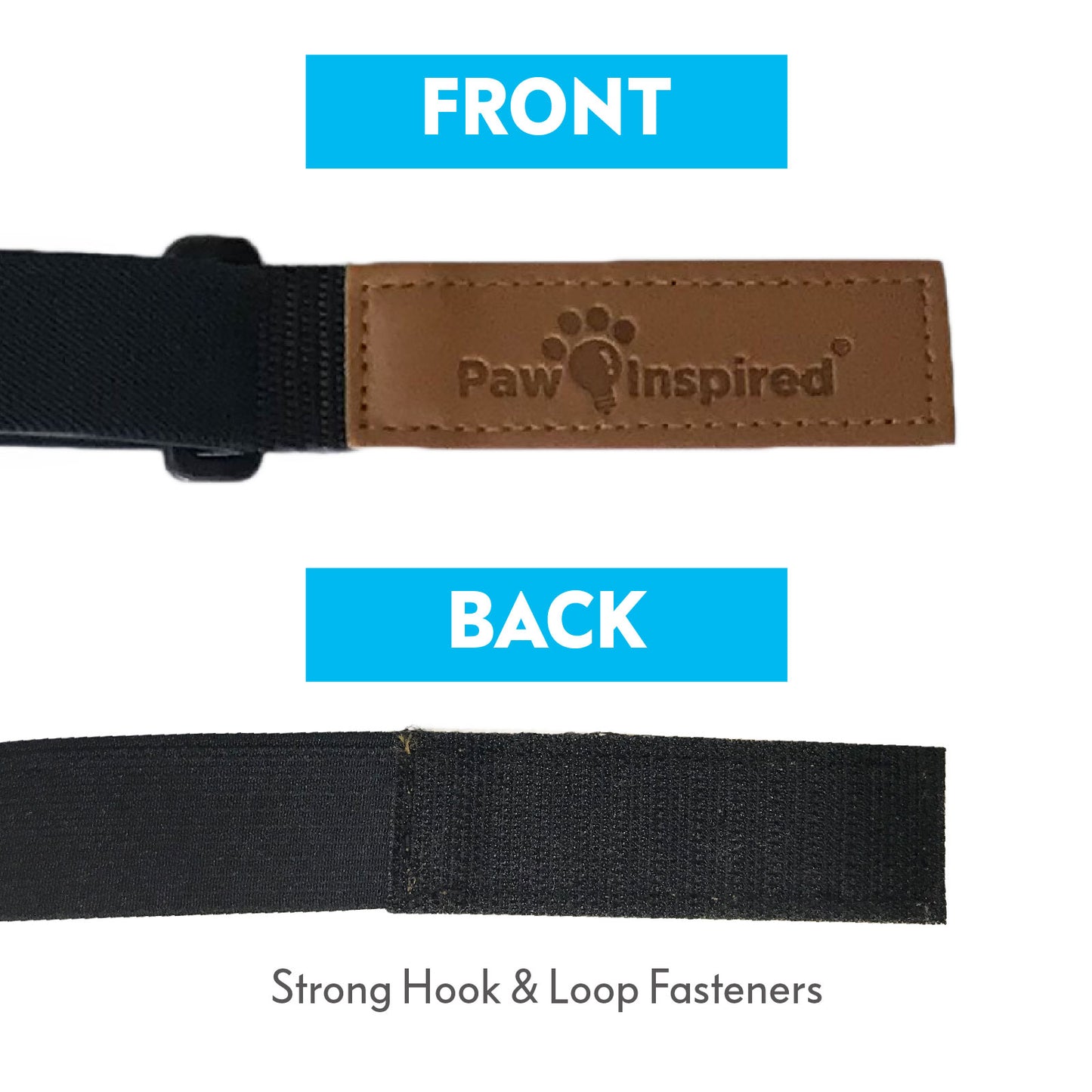Paw Inspired Washable and Disposable Dog Diaper Suspenders, Aqua