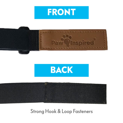 Paw Inspired Washable and Disposable Dog Diaper Suspenders, Aqua
