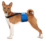 Paw Inspired Washable and Disposable Dog Diaper Suspenders