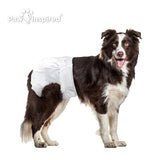 20ct Paw Inspired Ultra Protection Female Disposable Dog Diapers, Large