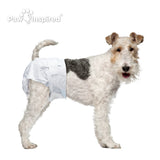 256ct Paw Inspired Ultra Protection Female Disposable Dog Diapers, Medium, Bulk