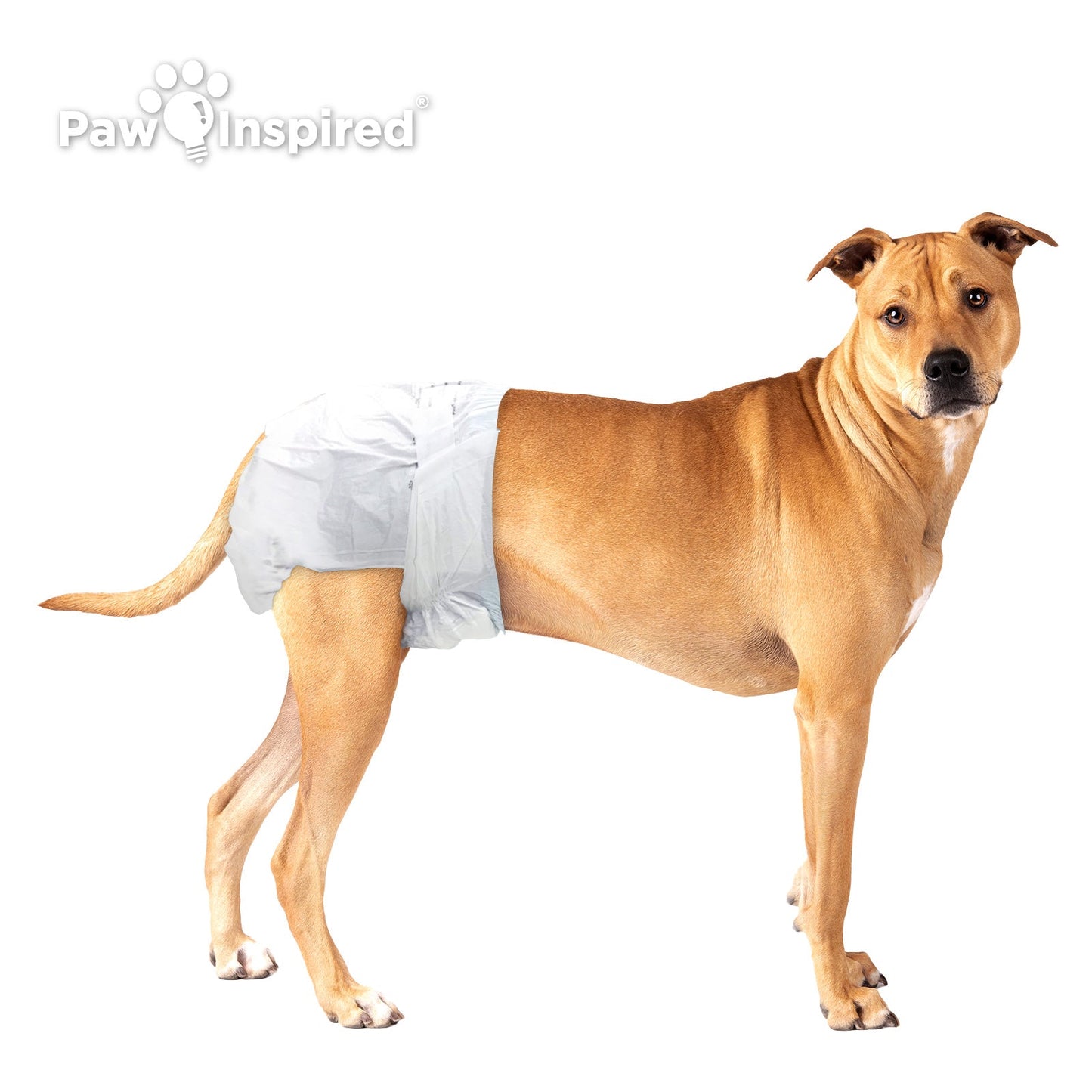 256ct Paw Inspired Ultra Protection Female Disposable Dog Diapers, Medium Plus, Bulk