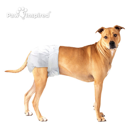 256ct Paw Inspired Ultra Protection Female Disposable Dog Diapers, Medium Plus, Bulk