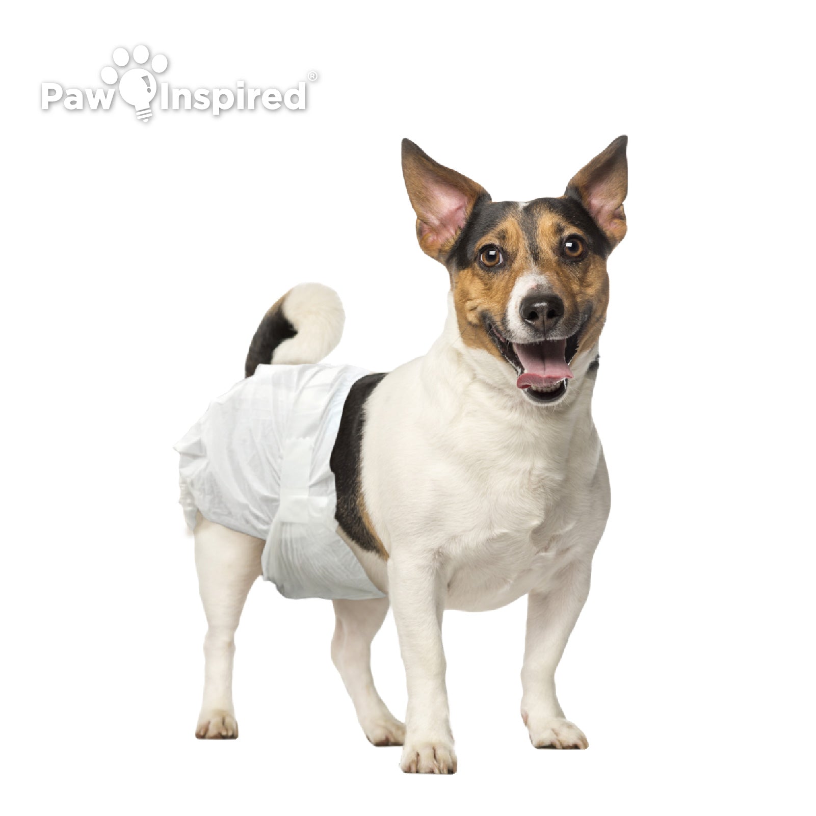 144ct Paw Inspired Ultra Protection Female Disposable Dog Diapers, Small