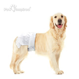 144ct Paw Inspired Ultra Protection Female Disposable Dog Diapers, X-Large