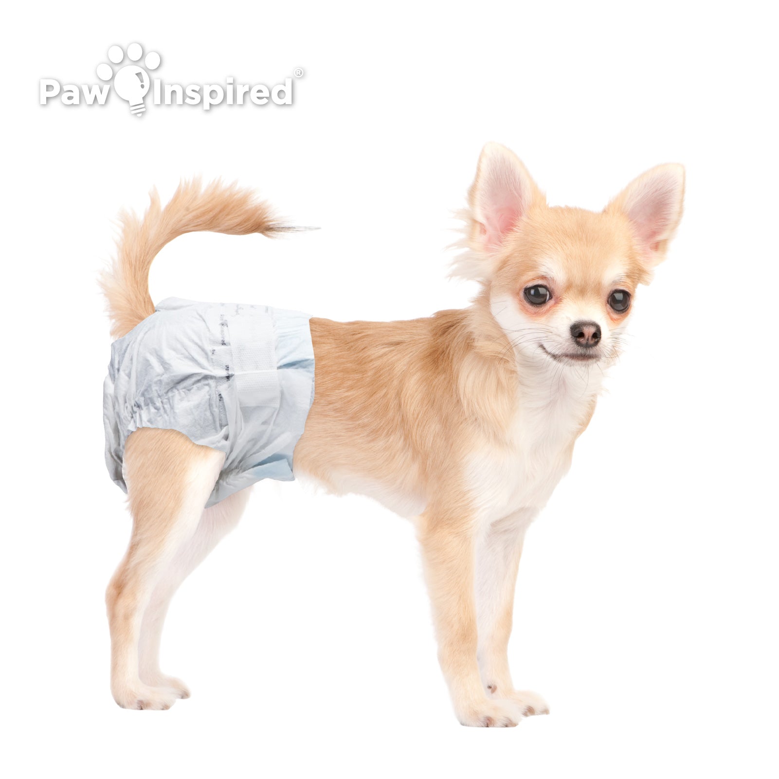 32ct Paw Inspired Ultra Protection Female Disposable Dog Diapers, Extra Small