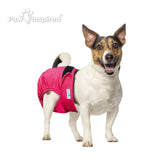 3ct Paw Inspired Ultra Protection Washable Dog Diapers, Reusable, Female, Assorted (White Lining), Small