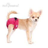 3ct Paw Inspired Ultra Protection Washable Dog Diapers, Reusable, Female, Assorted (Black Lining), Extra Small