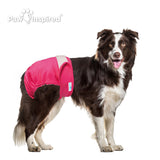 3ct Paw Inspired Ultra Protection Washable Dog Diapers, Reusable, Female, Large