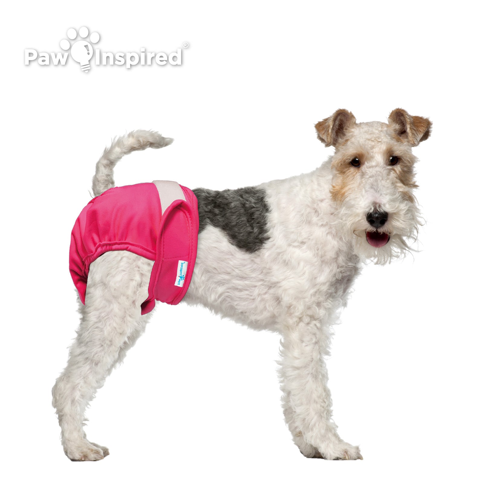3ct Paw Inspired Ultra Protection Washable Dog Diapers, Reusable, Female, Medium