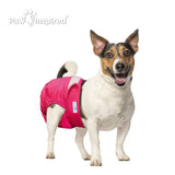 3ct Paw Inspired Ultra Protection Washable Dog Diapers, Reusable, Female, Small