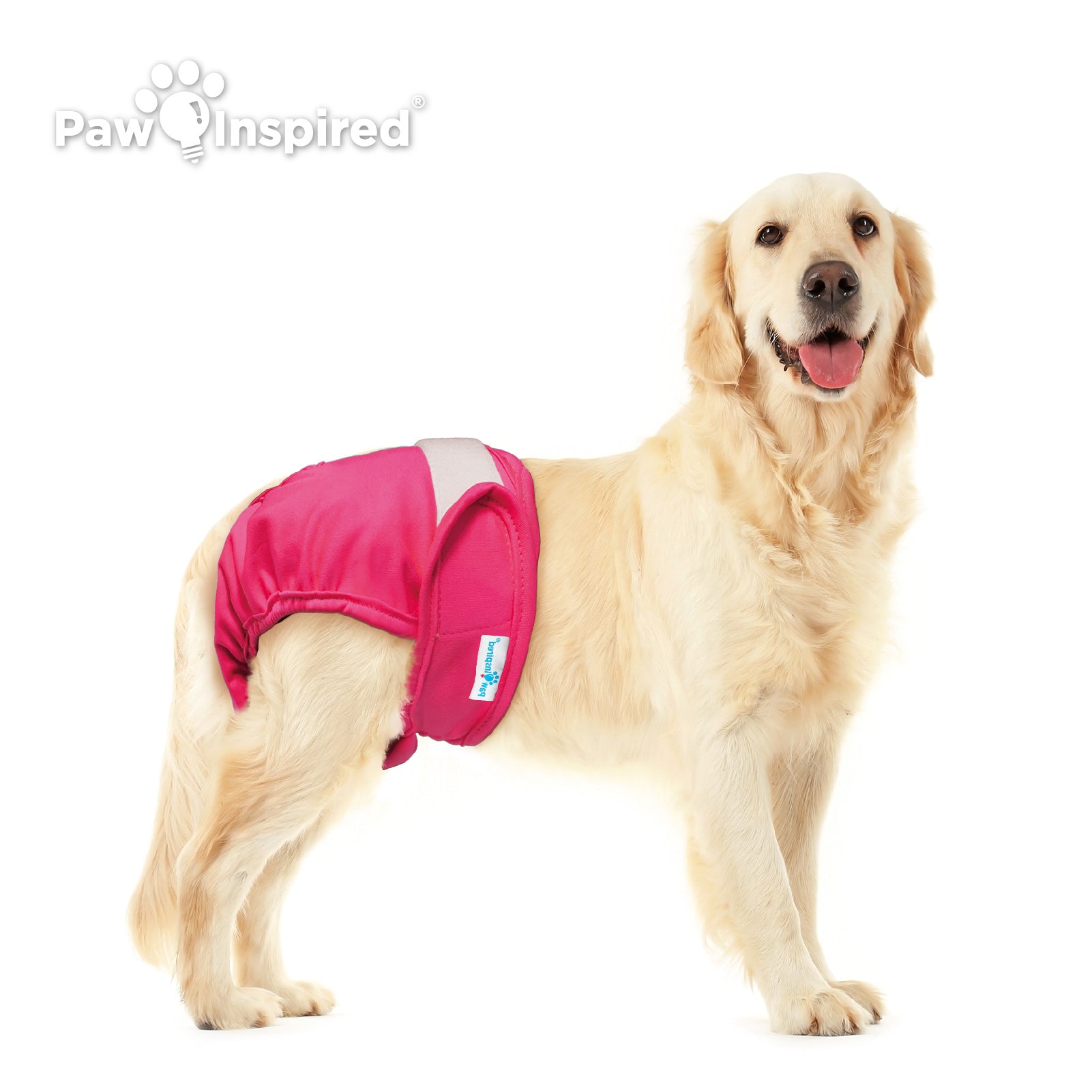 2ct Paw Inspired Ultra Protection Washable Dog Diapers, Reusable, Female, Extra Large
