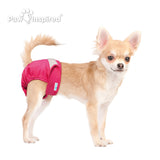 3ct Paw Inspired Ultra Protection Washable Dog Diapers, Reusable, Female, Extra Small