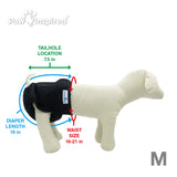 3ct Paw Inspired Ultra Protection Washable Dog Diapers, Reusable, Female, Black (Black Lining), Medium