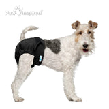 3ct Paw Inspired Ultra Protection Washable Dog Diapers, Reusable, Female, Black (Black Lining), Medium