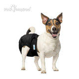 3ct Paw Inspired Ultra Protection Washable Dog Diapers, Reusable, Female, Black (Black Lining), Small