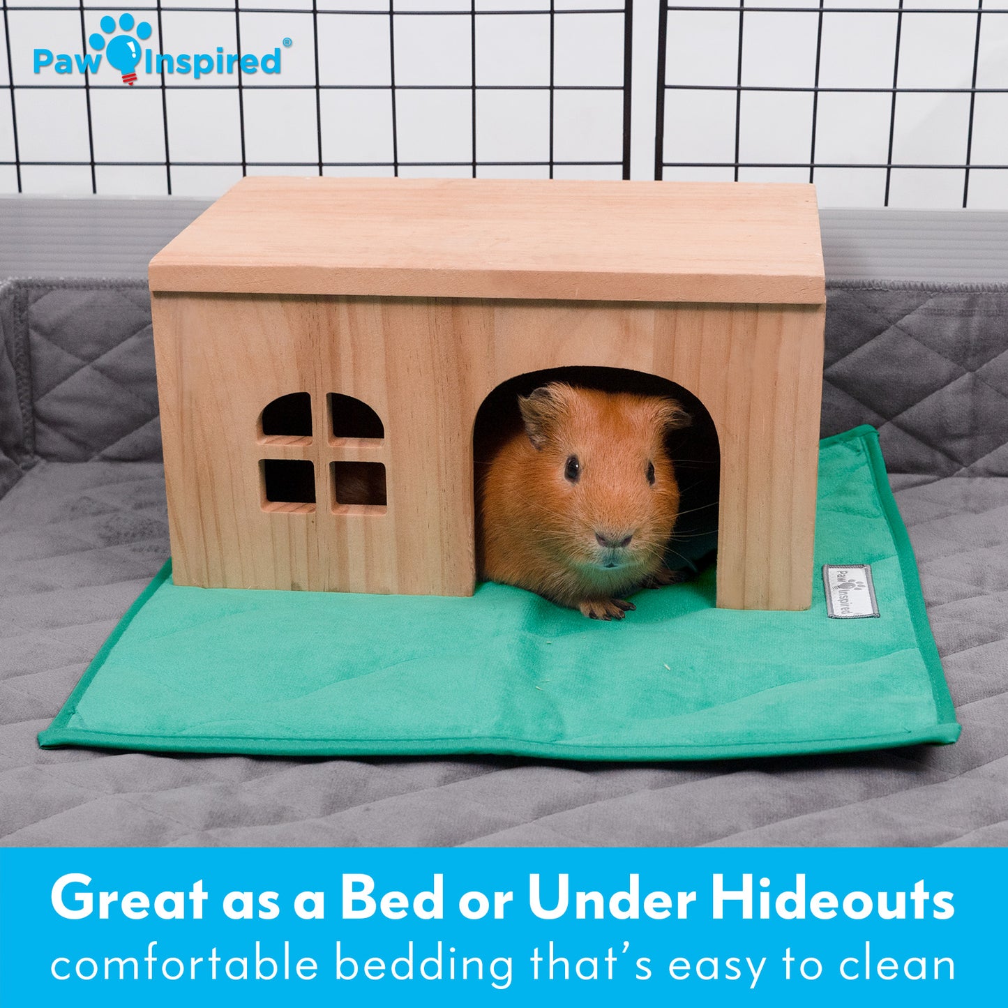 3ct Paw Inspired Washable 12”x12” Guinea Pig Liner Pads