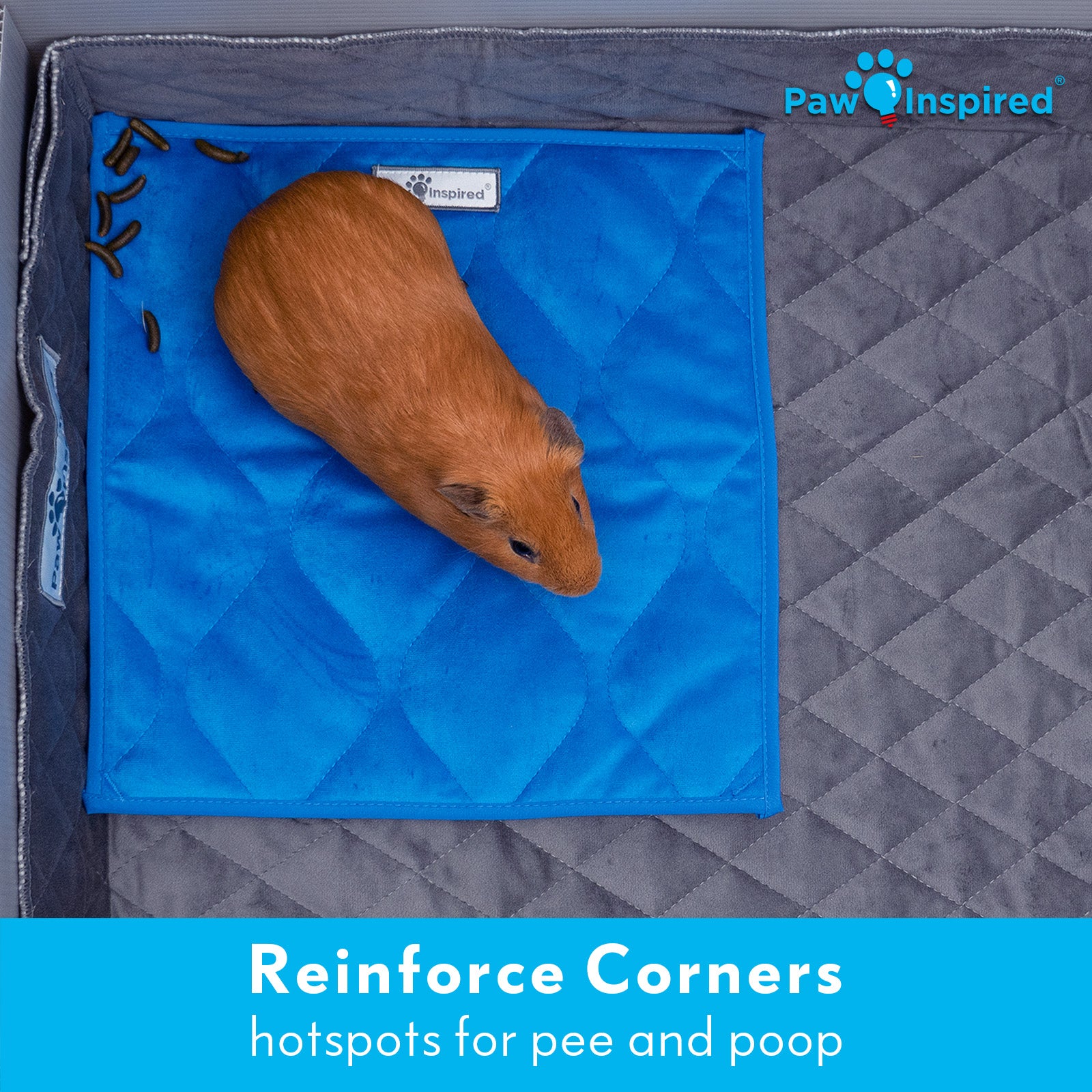 3ct Paw Inspired Washable 12”x12” Guinea Pig Liner Pads