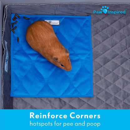 3ct Paw Inspired Washable 12”x12” Guinea Pig Liner Pads