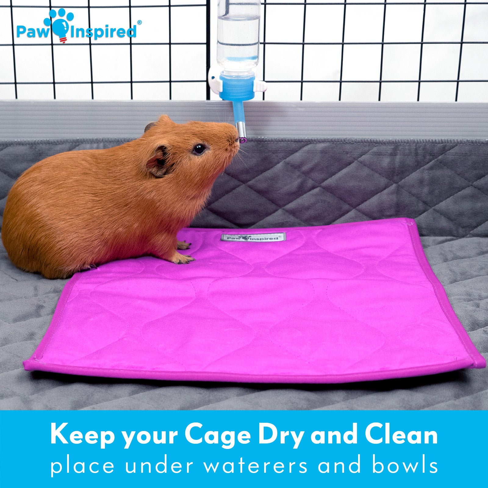 3ct Paw Inspired Washable 12”x12” Guinea Pig Liner Pads