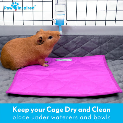3ct Paw Inspired Washable 12”x12” Guinea Pig Liner Pads