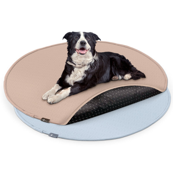 2ct Paw Inspired® Round Washable Pee Pads, 48in