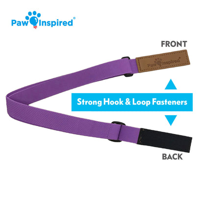 Paw Inspired Washable and Disposable Dog Diaper Suspenders, Purple