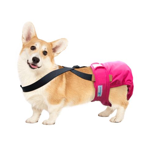 Paw Inspired Washable and Disposable Dog Diaper Suspenders