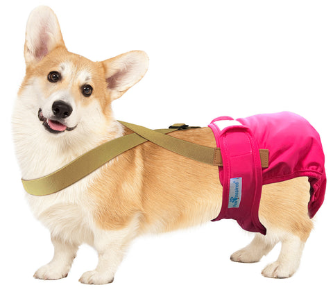 Paw Inspired Washable and Disposable Dog Diaper Suspenders, Brown