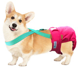 Paw Inspired Washable and Disposable Dog Diaper Suspenders, Aqua