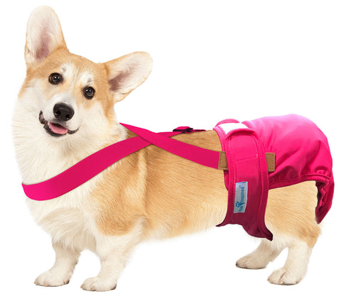 Paw Inspired Washable and Disposable Dog Diaper Suspenders, Pink