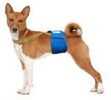 Paw Inspired Washable and Disposable Dog Diaper Suspenders, Brown