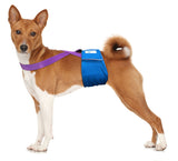 Paw Inspired Washable and Disposable Dog Diaper Suspenders, Purple